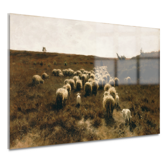 De terugkeer van de kudde, Laren - Anton Mauve acrylglas