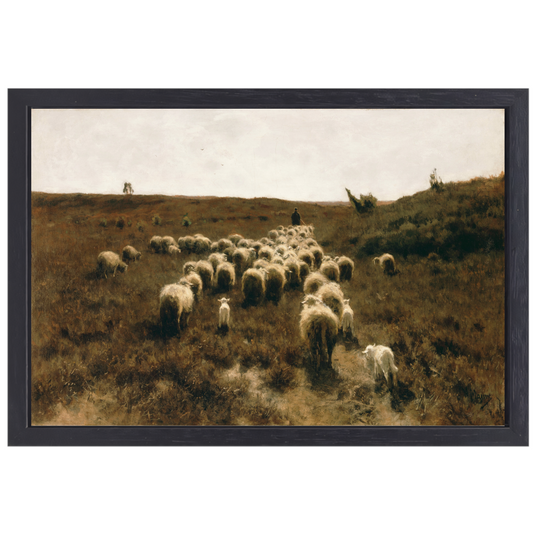 De terugkeer van de kudde, Laren - Anton Mauve canvas met baklijst