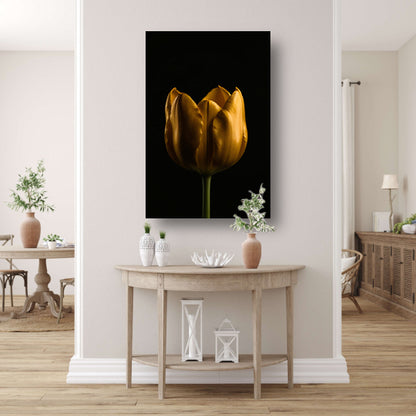 Elegante Gouden Tulp tegen Diepzwarte Achtergrond canvas