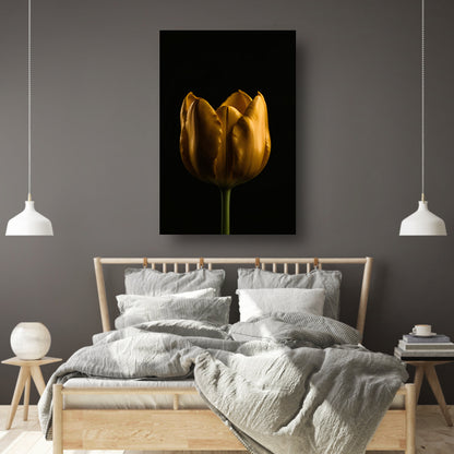 Elegante Gouden Tulp tegen Diepzwarte Achtergrond canvas