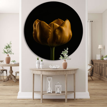 Elegante Gouden Tulp tegen Diepzwarte Achtergrond aluminium muurcirkel