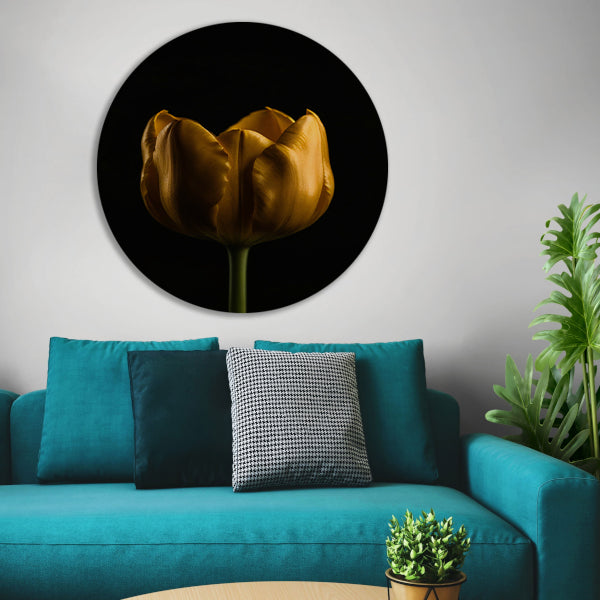 Elegante Gouden Tulp tegen Diepzwarte Achtergrond aluminium muurcirkel
