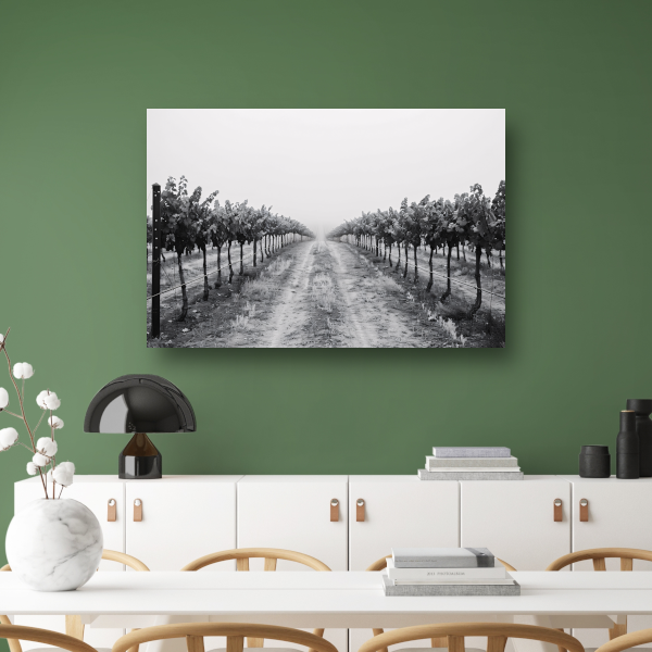 Mistige ochtend in de wijngaard canvas met baklijst