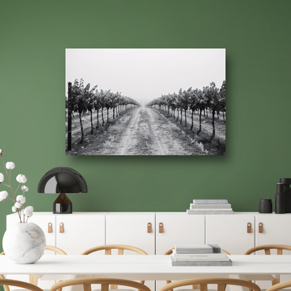 Mistige ochtend in de wijngaard canvas met baklijst