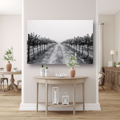 Mistige ochtend in de wijngaard canvas met baklijst