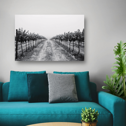 Mistige ochtend in de wijngaard canvas met baklijst