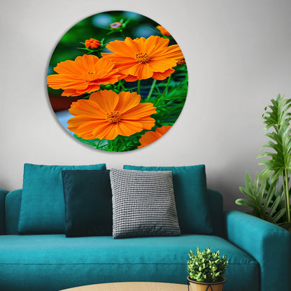 Close-up van Oranje Bloemen in volle Bloei aluminium muurcirkel