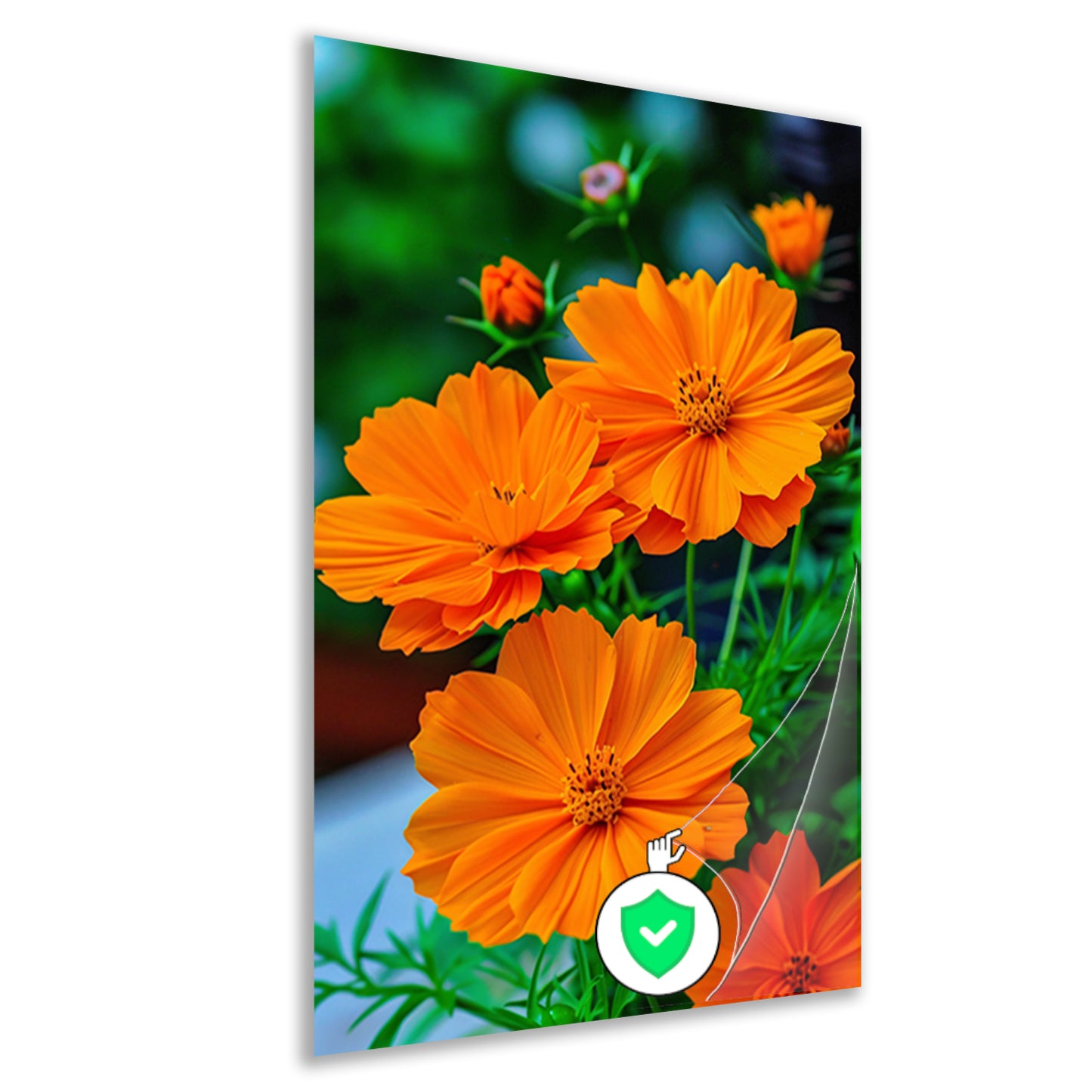 Close-up van Oranje Bloemen in volle Bloei poster