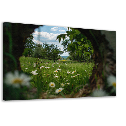 Natuurlijke opening naar bloemenveld canvas