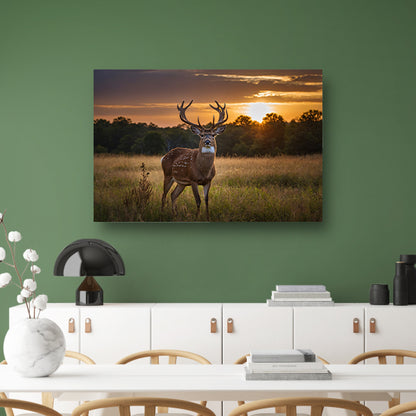 Prachtig hert bij zonsondergang in de natuur poster