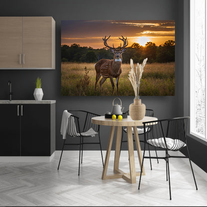 Prachtig hert bij zonsondergang in de natuur poster