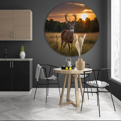 Prachtig hert bij zonsondergang in de natuur aluminium muurcirkel