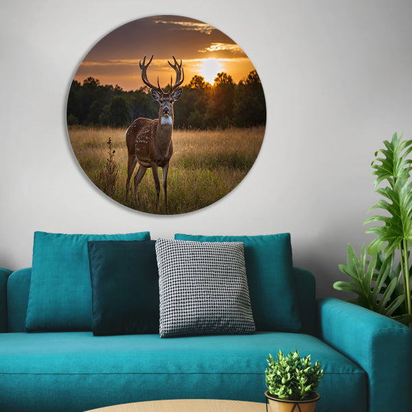 Prachtig hert bij zonsondergang in de natuur aluminium muurcirkel