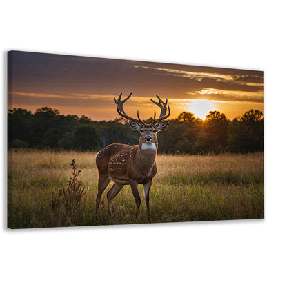 Prachtig hert bij zonsondergang in de natuur canvas