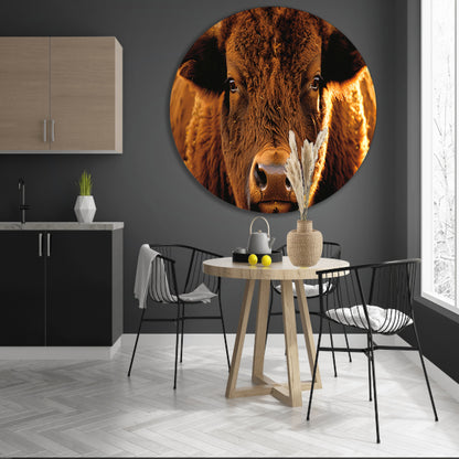 Close-up portret van een majestueuze bison forex muurcirkel