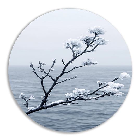 Minimalistische wintertak boven kalm water forex muurcirkel
