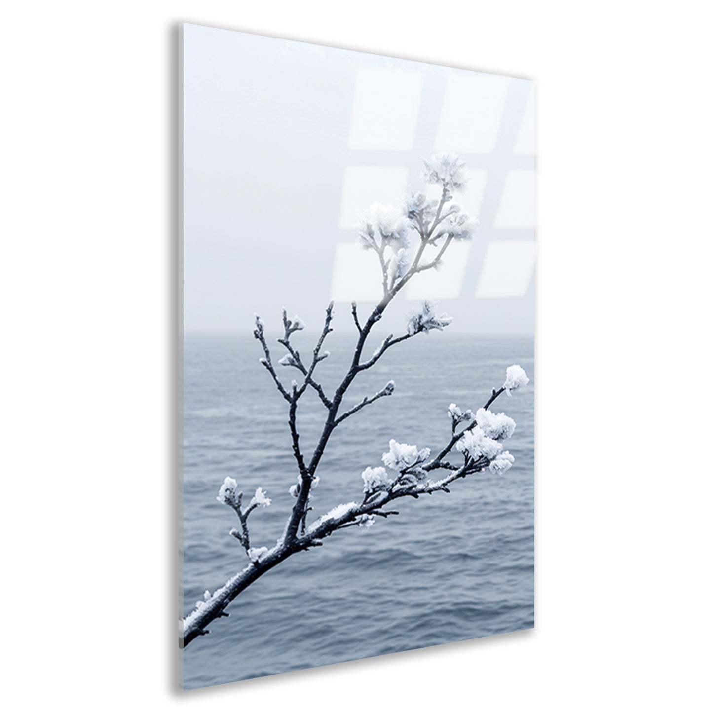 Minimalistische wintertak boven kalm water acrylglas