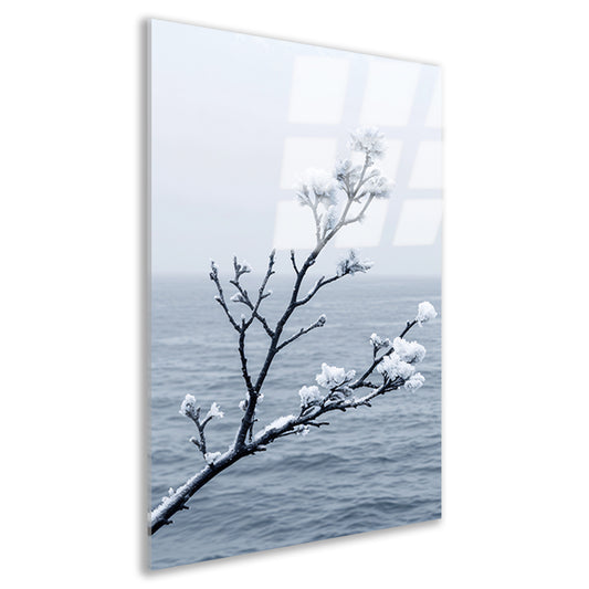 Minimalistische wintertak boven kalm water acrylglas
