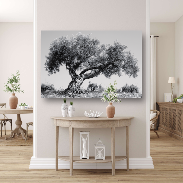 Klassieke Olijfboom in Zwart-Wit canvas met baklijst