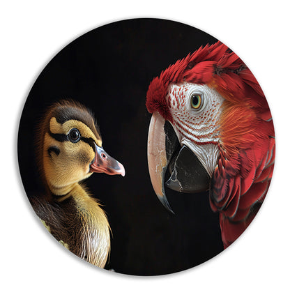 Ara en eend ontmoeting forex muurcirkel