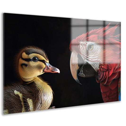Ara en eend ontmoeting acrylglas