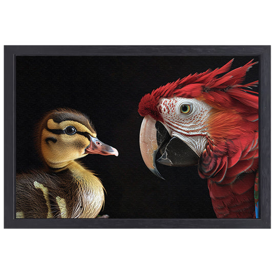 Ara en eend ontmoeting canvas met baklijst