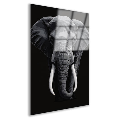 Portret van een olifant in zwart-wit Acrylglas