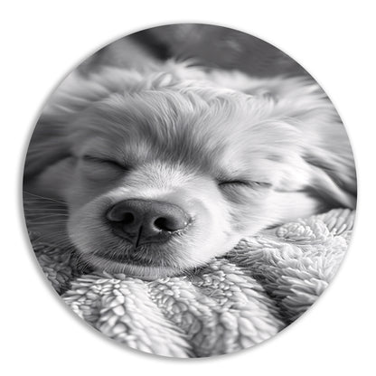Zwart-wit foto van slapende puppy op deken aluminium muurcirkel