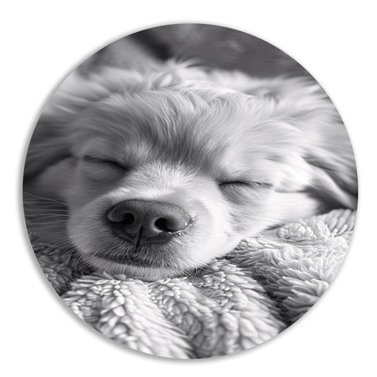 Zwart-wit foto van slapende puppy op deken aluminium muurcirkel