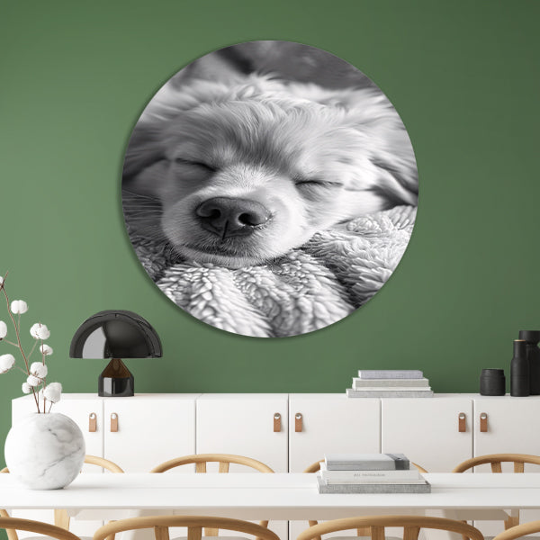 Zwart-wit foto van slapende puppy op deken aluminium muurcirkel