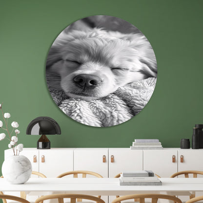 Zwart-wit foto van slapende puppy op deken aluminium muurcirkel