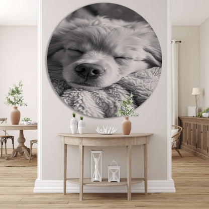 Zwart-wit foto van slapende puppy op deken aluminium muurcirkel
