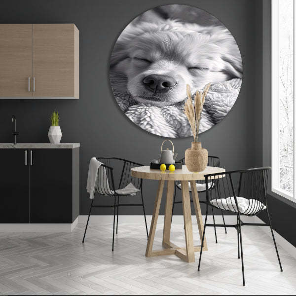 Zwart-wit foto van slapende puppy op deken aluminium muurcirkel