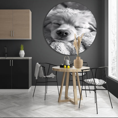 Zwart-wit foto van slapende puppy op deken aluminium muurcirkel