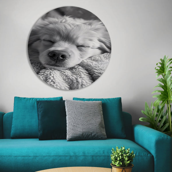 Zwart-wit foto van slapende puppy op deken aluminium muurcirkel