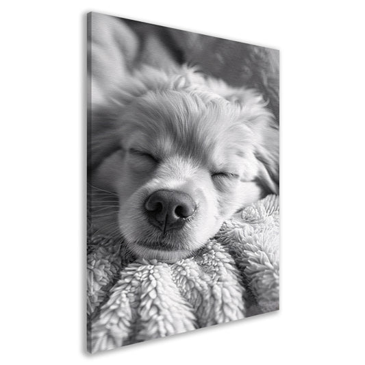 Zwart-wit foto van slapende puppy op deken canvas