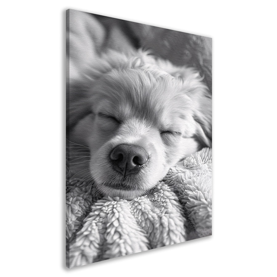 Zwart-wit foto van slapende puppy op deken canvas