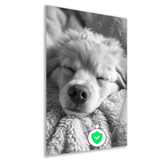 Zwart-wit foto van slapende puppy op deken poster