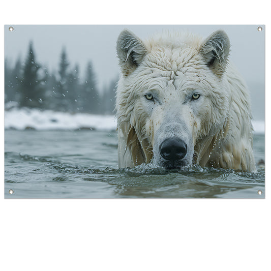 Witte Wolf in Water tuinposter