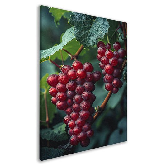 Rode druiven met dauwdruppels canvas