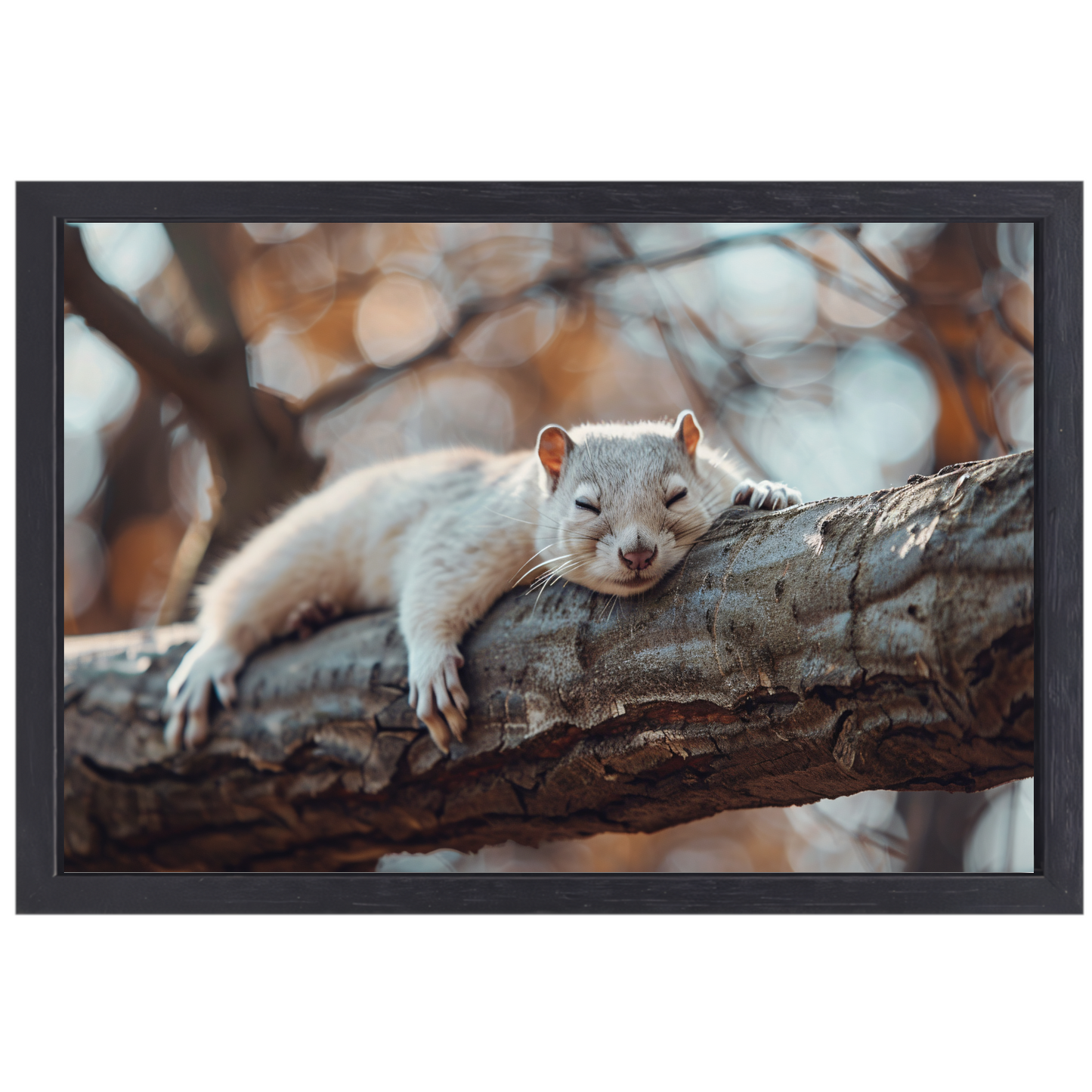 Eekhoorn rustend op herfsttak canvas met baklijst