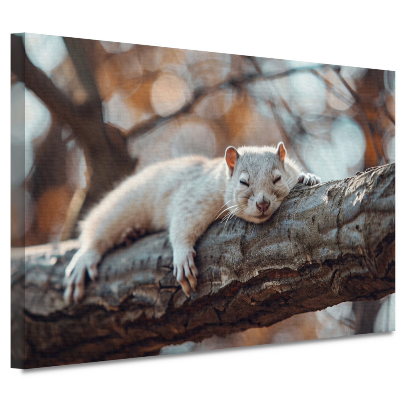 Eekhoorn rustend op herfsttak canvas