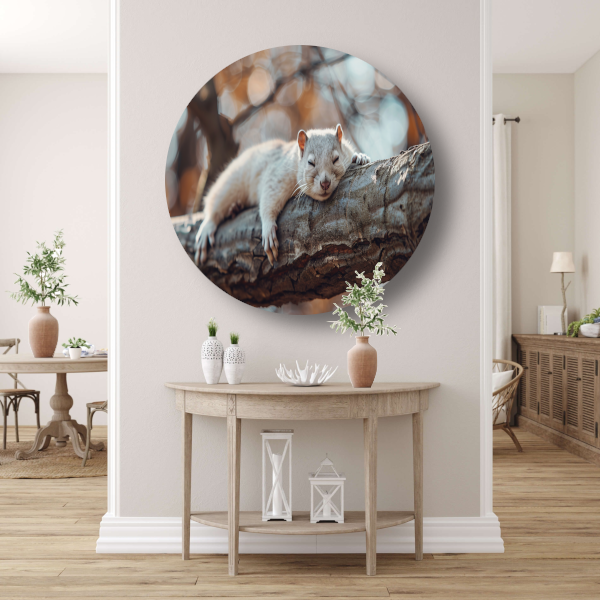 Eekhoorn rustend op herfsttak aluminium muurcirkel