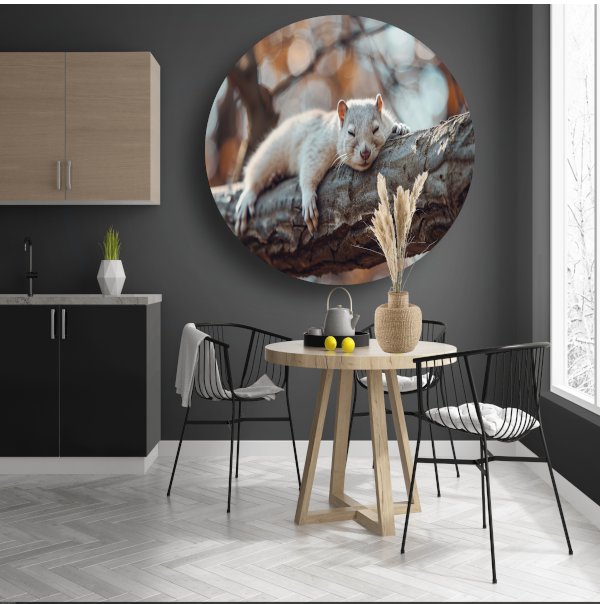 Eekhoorn rustend op herfsttak aluminium muurcirkel