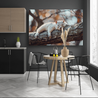 Eekhoorn rustend op herfsttak canvas met baklijst