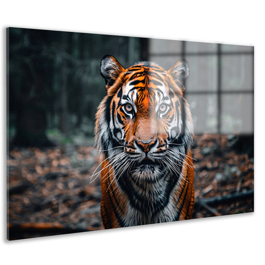 Realistische tijger in bosrijke omgeving acrylglas