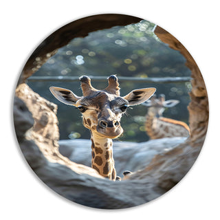 Giraffe muurcirkels