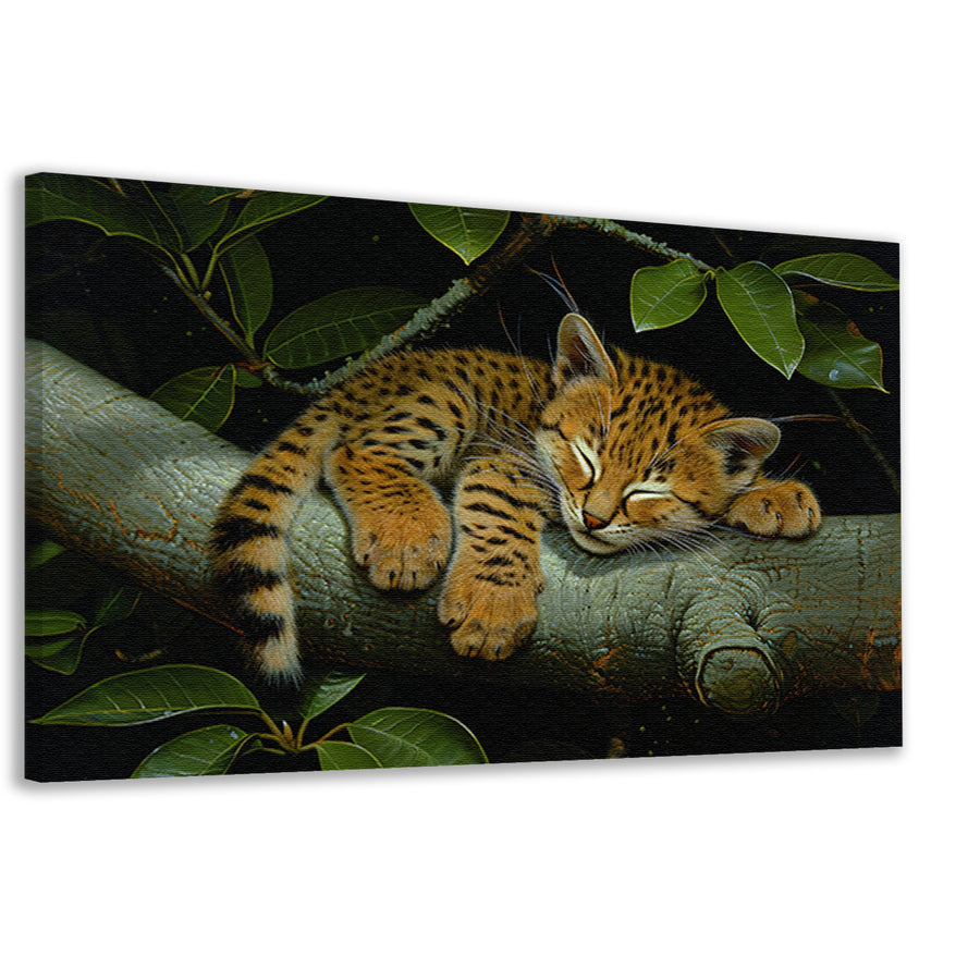 Slapende wilde kat op boomtak canvas