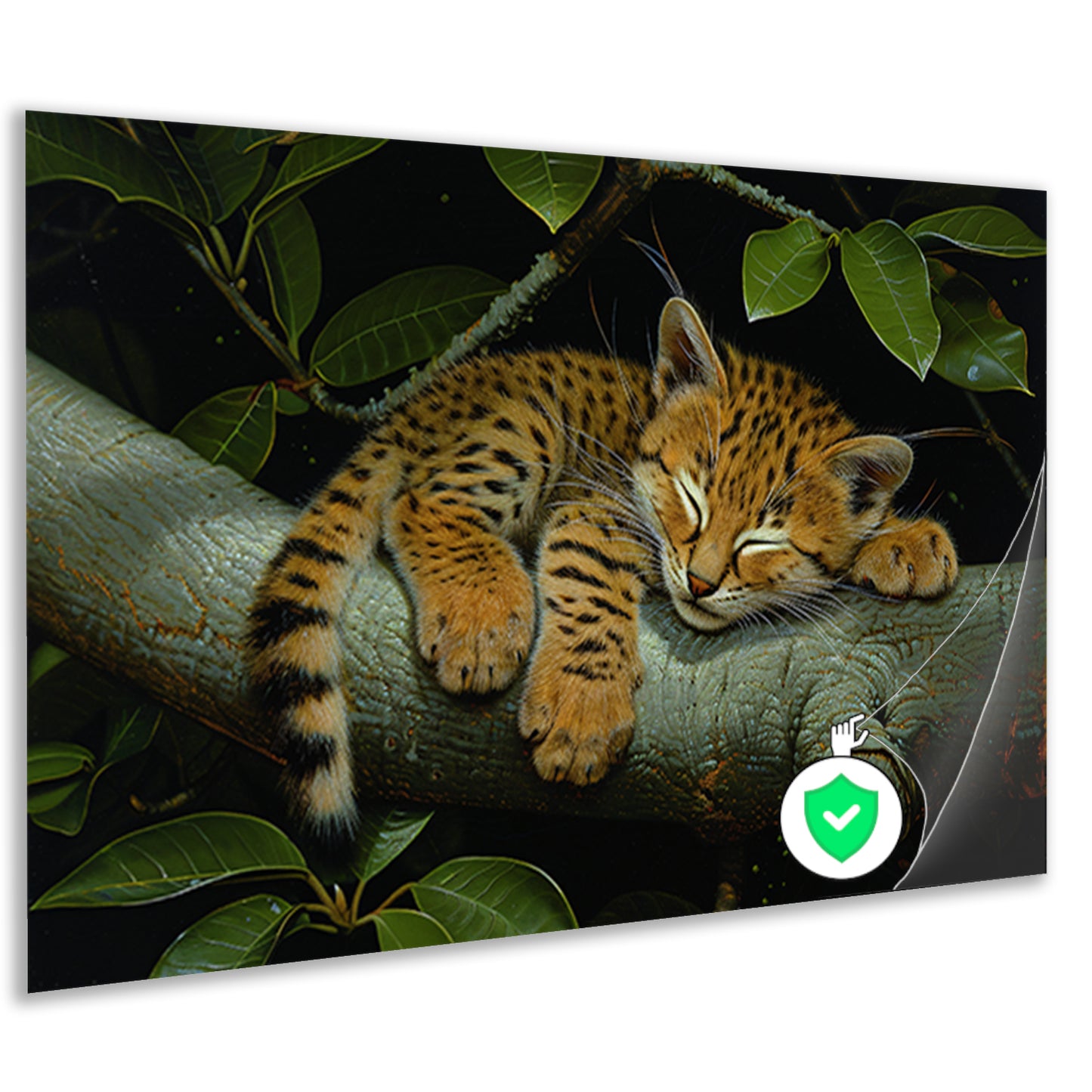 Slapende wilde kat op boomtak poster