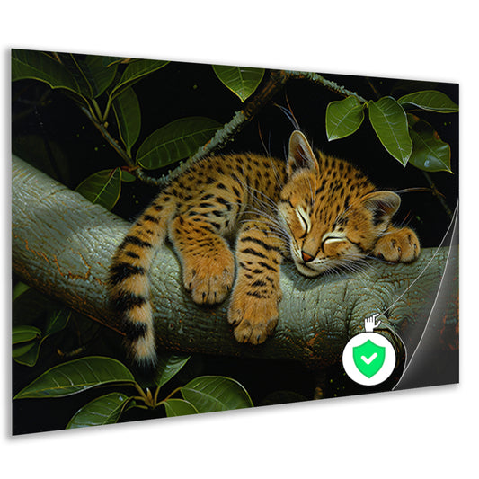 Slapende wilde kat op boomtak poster